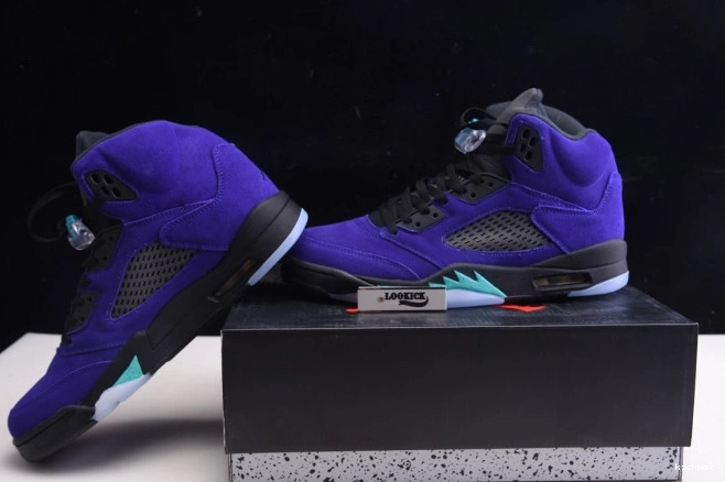 Rep Air Jordan Alternate 136027-500 Retro Grape 5 0811